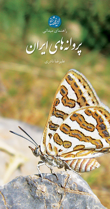 پروانه های ایران